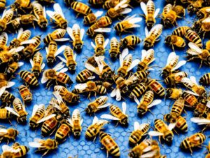 Virus della Paralisi Cronica Api: Guida Completa per Apicoltori 1 virus della Paralisi Cronica Api